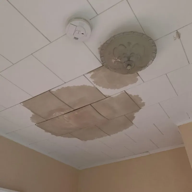Ceiling Water Damage Repair in New York Mills, MN