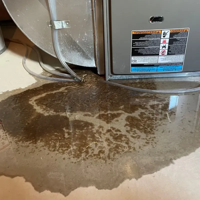 Pipe Burst and Leak Restoration in New York Mills, MN